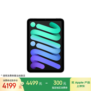 Apple/蘋(píng)果 iPad mini (A17 Pro) 8.3英寸 平板電腦(256G WLAN版/mini7/MXNA3CH/A)深空灰色