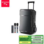 山水（SANSUI）A08 戶(hù)外K歌專(zhuān)用音響大功率重低音廣場(chǎng)舞智能音箱多媒體會(huì )議帶麥克風(fēng)8英寸電木吉他民謠樂(lè )器音箱