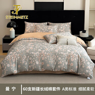 斯坦梅茲貢緞長(cháng)絨棉被套四件套純棉全棉100床單被罩床笠款床品套件 曼寧-套件   2.0米 四件套 床單款 （被套220*240cm）