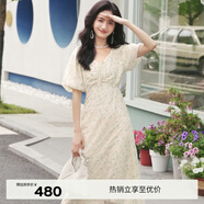 伊芙麗（eifini）伊芙麗法式優(yōu)雅網(wǎng)紗繡收腰仙女碎花連衣裙2023夏裝泡泡袖公主裙 淺綠 160/84A/M