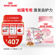 皇家幼貓 干濕搭配   K36 4.5KG+ KJP 85G*12