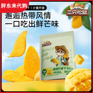 胖東來(lái)三只松鼠_果干蜜餞零食果脯堅果炒貨梅子山楂糖果各種小吃 芒果干21g