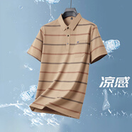 皮爾卡丹（pierre cardin）【涼感】 夏季條紋翻領(lǐng)冰絲短袖polo衫男爸爸半袖薄款t恤 卡其色 M