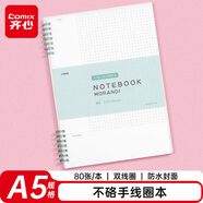 齊心（COMIX）B5/80張筆記本子網(wǎng)格本PP面分段雙螺旋本不硌手線(xiàn)圈本學(xué)生文具記事本日記本 C5605高級灰