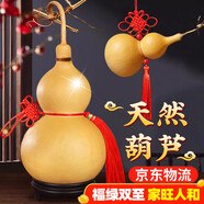 天然葫蘆掛件大號擺件帶龍頭客廳臥室大門(mén)文玩小葫蘆 帶龍頭掛件12-15cm【不開(kāi)口】