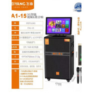 飛揚FA1-10/15廣場(chǎng)舞視頻音響家用藍牙K歌話(huà)筒點(diǎn)歌紅日一體機音箱 飛揚牌FA1-10十寸低音