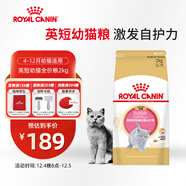 皇家貓糧 英短幼貓糧 BSK38 通用糧 4-12月 2KG