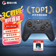 蓋世小雞（GAMESIR）啟明星無(wú)線(xiàn)游戲手柄switch2手柄 手機安卓蘋(píng)果PC電腦NS2pro藍牙特斯拉電視steam雙人成行寶可夢(mèng)ZA