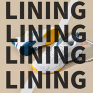 LI NING李寧羽毛球鞋男款鞋女款訓練鞋新運動(dòng)鞋比賽 【彈彈云】標準白_耀黃色 37