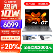 聯(lián)想小新14/小新Pro14 2025補貼可選 高性能超輕薄筆記本電腦 標壓銳龍版 學(xué)生游戲設計辦公本 銳龍AI 7 32G 1T｜Pro14GT國補 14英寸 防眩光全面屏