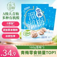 溜溜梅雪梅梅子干 潤燥清涼 孕婦兒童 解饞健康休閑零食160g/3袋