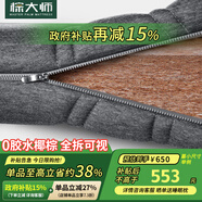 棕大師（PALM MASTER） 椰棕床墊偏硬薄棕櫚棕墊天然乳膠防螨抑菌 可定制榻榻米折疊床墊 拉鏈款【椰棕版】10cm 1.8米*2米