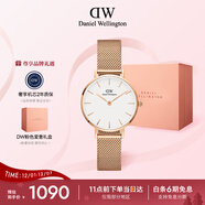 丹尼爾惠靈頓（DanielWellington）DW女士手表時(shí)尚經(jīng)典歐美表女28mm石英表生日禮物 DW219