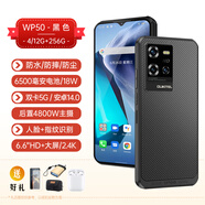 歐奇OUKITEL歐奇WP50三防手機(jī)全網(wǎng)通5G安卓智能大屏防水防摔輕薄無線 WP50-黑色 全網(wǎng)通5G（國際版） 官方標(biāo)配