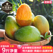 京地達(dá)攀枝花凱特芒果 9斤大果單果350g+肉厚無(wú)絲新鮮水果源頭直發(fā)