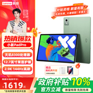 聯(lián)想（Lenovo）小新pad11英寸平板電腦學(xué)生網(wǎng)課學(xué)習辦公萊茵低藍光高清護眼全面屏12.1英寸可選全網(wǎng)通插卡平板 PadPro2025丨12+256丨12.7小青新