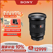 索尼（SONY）FE 24-70mm F2.8 GM II 全畫(huà)幅標準變焦 G大師鏡頭(SEL2470GM2)