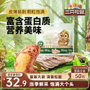 三只松鼠 紫皮腰果500g/袋 堅果炒貨干果休閑零食送禮一斤裝混發(fā) 