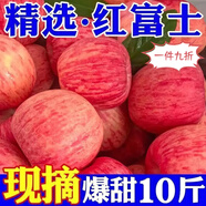 胖東來(lái)同款靈寶蘋(píng)果精品富硒新鮮脆甜多汁冰糖心應季水果整箱批發(fā) 正宗紅富士蘋(píng)果【頭茬果-比普通蘋(píng)果更好吃 超脆甜：整箱5斤裝【中果】