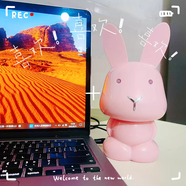 山頭林村卡通兔電腦迷你音響手機筆記本平板電腦通用插線(xiàn)多媒體音響 馬卡龍粉兔USB音響