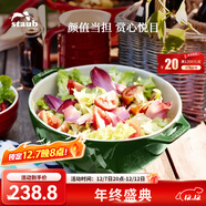 琺寶（staub）陶瓷碗大號沙拉碗家用甜品碗泡面湯碗面碗烘焙雙耳飯碗 25cm 蒔蘿綠