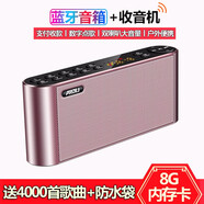 科凌（KELING） Q8無(wú)線藍(lán)牙音箱雙喇叭重低音炮手機(jī)便攜式戶外老人收音機(jī)插卡U盤迷你愛(ài)度播放器 玫瑰金+8G內(nèi)存卡+讀卡器+海量歌曲+點(diǎn)歌本