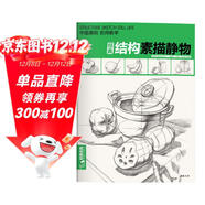經(jīng)典全集《結構素描靜物》8開(kāi)臨摹書(shū)籍單體組合繪畫(huà)大關(guān)系透視美術(shù)基礎技法正版楊建飛主編