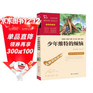 少年維特的煩惱(中小學(xué)課外閱讀 無(wú)障礙閱讀) 