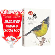 萬(wàn)物我畫(huà) 鳥(niǎo)