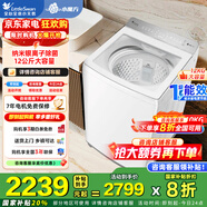 小天鵝（LittleSwan）波輪洗衣機全自動(dòng)12公斤大容量水魔方防纏繞變頻 納米銀離子除菌除螨速凈桶干燥定時(shí)預約 以舊換新 12KG小烏梅|純白款水魔方IVE20DW