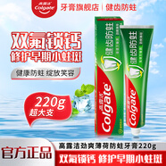高露潔健齒防蛀牙膏勁爽清新薄荷強健牙釉質(zhì)雙氟配方家庭裝 健齒防蛀220g【勁爽薄荷】