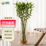 呂姆克花瓶玻璃鮮花竹子水養水培插花容器加厚款大號落地花瓶高40cm0831