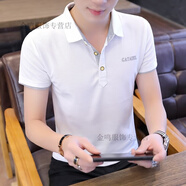 暢印夏天有領(lǐng)短袖T恤男青年爸爸裝翻領(lǐng)半截袖衣服T男士帶領(lǐng)子體恤汗衫 C77白色灰領(lǐng) 2XL
