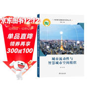 城市流動(dòng)性與智慧城市空間組織/大數據與智慧城市研究叢書(shū)