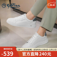 金利來(lái)（Goldlion）男鞋時(shí)尚個(gè)性耐磨板鞋舒適系帶休閑鞋55323073920A白-39碼