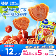 小鹿藍藍 寶寶山楂棒 兒童寶寶零食糖果 山楂棒棒新鮮果干制作 106g