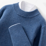 羊絨世家2025秋冬半高領(lǐng)加厚山羊絨衫男寬松大碼針織衫 產(chǎn)自鄂爾多斯市-花蘭色 厚款 S 適合體重 100-120斤