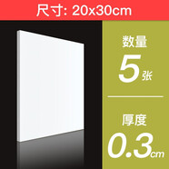 雪弗板kt板硬高密度材料板建筑沙盤模型制作材料手工diy雕刻PVC發(fā)泡板 白20*30*0.3cm   5張