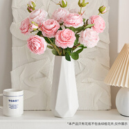 花點(diǎn)馨意陶瓷花瓶客廳餐桌面擺件新中式田園風(fēng)精致裝飾素燒凌鏡白花瓶0978