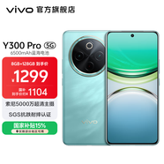 vivo Y300 Pro 國家補貼 6500mAh藍海電池 80W遠航閃充 7.69mm超薄機身 索尼5000萬(wàn)超清主攝 拍照手機 金鑲玉 8GB+128GB