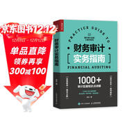 財務(wù)審計實(shí)務(wù)指南（人郵普華出品）