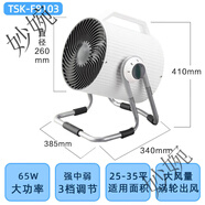 燦坤渦輪空氣對流循環(huán)扇家用臺式換氣電風(fēng)扇大炮凈化器 大號 TSK-F8103(適用面積25-35㎡)