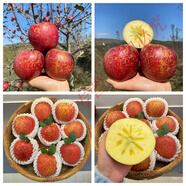 大涼山丑蘋(píng)果 正宗冰糖心蘋(píng)果紅富士脆甜當季新鮮水果批發(fā)整箱 老農【十年老樹(shù)果】脆甜丑蘋(píng)果 實(shí)惠好吃【帶箱9-10斤大果】品質(zhì)不打折