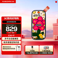閃迪（SanDisk） Type-C接口小巧便攜高速SSD移動(dòng)固態(tài)硬盤(pán)E30存儲USB3.2Gen2 【有錢(qián)花】（限時(shí)免20元定制費） 2TB(讀數高達800MB/S)送數據線(xiàn)收納包