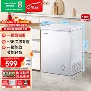 容聲（Ronshen）100L單溫家用冰柜減霜-36℃深冷一級能效節能輕音小巧省占地冷柜BD/BC-100MB