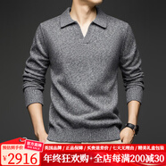 DVW品牌羊毛衫男100%純羊毛加厚款毛衣2025新款純色海鷗領(lǐng)冬季打底衫 花灰色 【100純羊毛加厚毛衣】 XL 180 推薦體重150-165斤