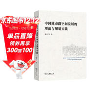 中國城市群空間發(fā)展的理論與規劃實(shí)踐