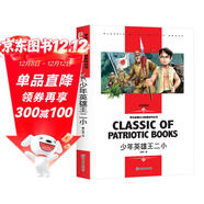 少年英雄王二小小學(xué)生一二三年級5-6-7-8歲語(yǔ)文名師導讀賞析好詞好句寫(xiě)作借鑒延伸思考知識考點(diǎn)