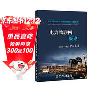 物聯(lián)網(wǎng)技術(shù)在電力行業(yè)的應用系列叢書(shū) 電力物聯(lián)網(wǎng)概論