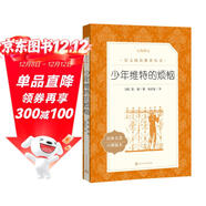 少年維特的煩惱（《語(yǔ)文》推薦閱讀叢書(shū) 人民文學(xué)出版社）
